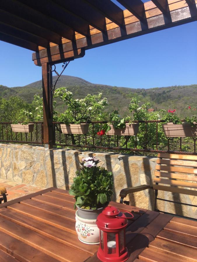 Apartman Casa Skerlak Malo Srediste Bagian luar foto
